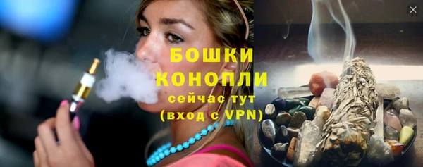 трава Коряжма