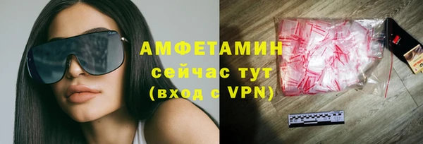 трава Коряжма