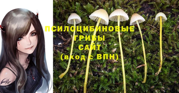прущие крисы Вуктыл