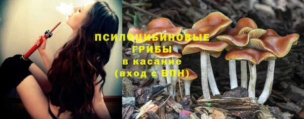 ECSTASY Костерёво